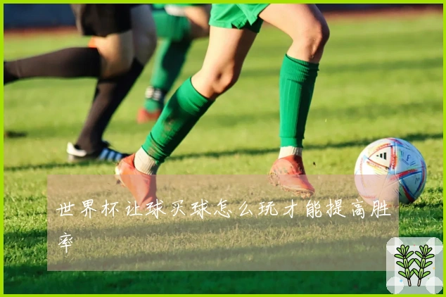 世界杯让球买球怎么玩才能提高胜率