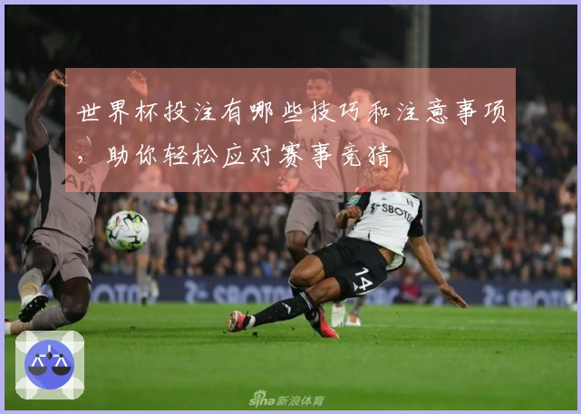 世界杯投注有哪些技巧和注意事项，助你轻松应对赛事竞猜