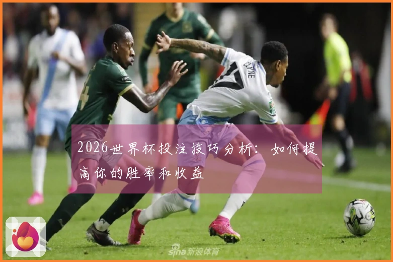 2026世界杯投注技巧分析：如何提高你的胜率和收益