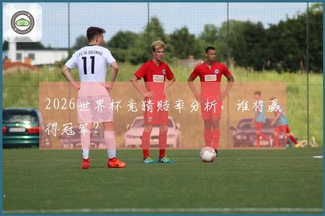 2026世界杯竞猜赔率分析，谁将赢得冠军？