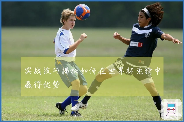 实战技巧揭秘如何在世界杯竞猜中赢得优势