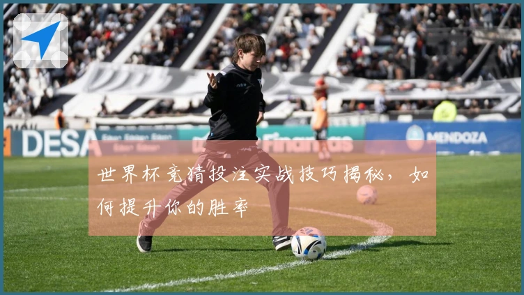 世界杯竞猜投注实战技巧揭秘，如何提升你的胜率