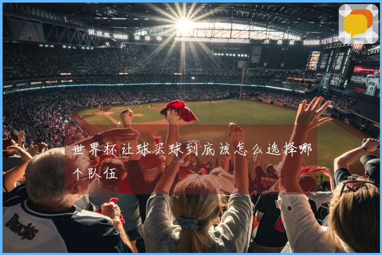 世界杯让球买球到底该怎么选择哪个队伍