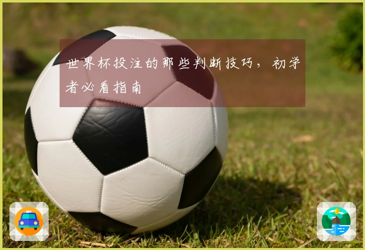 世界杯投注的那些判断技巧，初学者必看指南