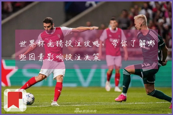世界杯竞猜投注攻略，带你了解哪些因素影响投注决策