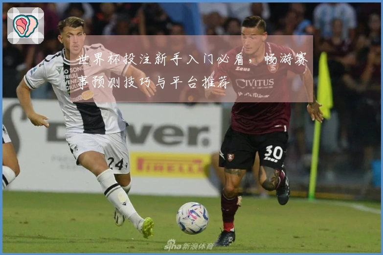 世界杯投注新手入门必看，畅游赛事预测技巧与平台推荐