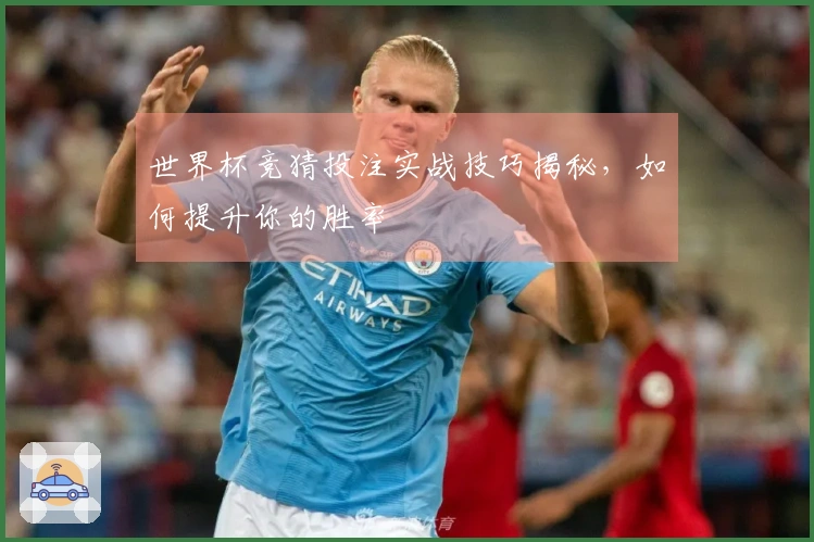 世界杯竞猜投注实战技巧揭秘，如何提升你的胜率