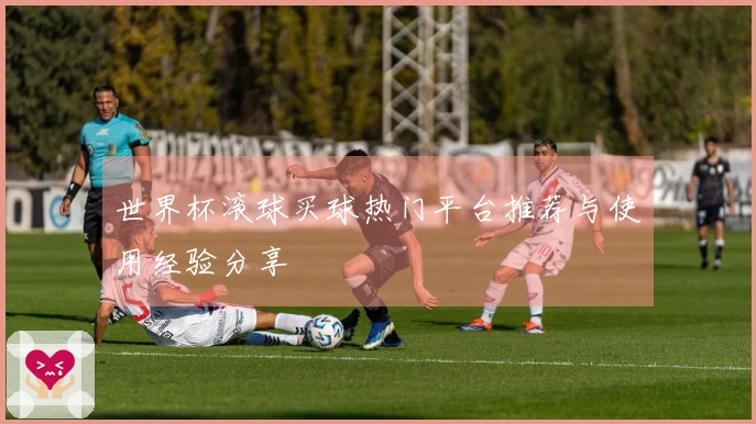 世界杯滚球买球热门平台推荐与使用经验分享