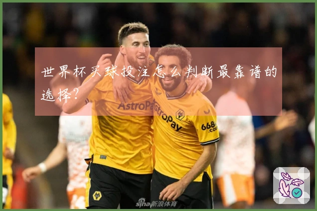 世界杯买球投注怎么判断最靠谱的选择？