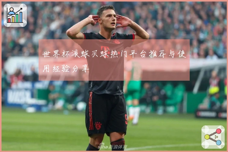 世界杯滚球买球热门平台推荐与使用经验分享