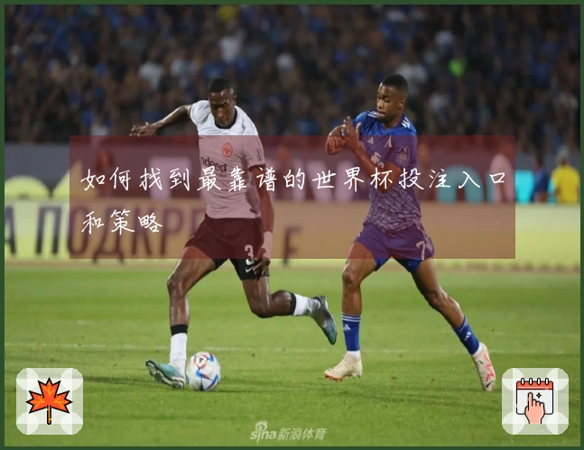 如何找到最靠谱的世界杯投注入口和策略