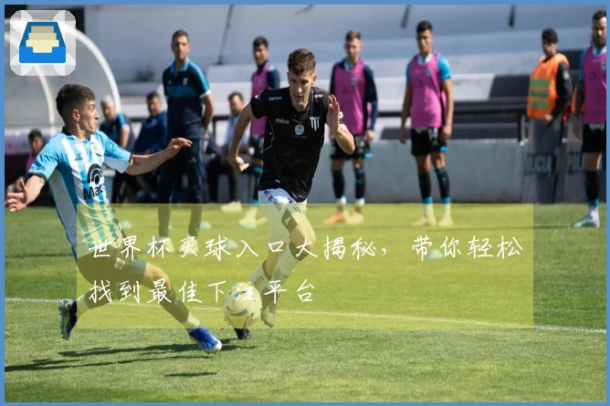 世界杯买球入口大揭秘，带你轻松找到最佳下注平台