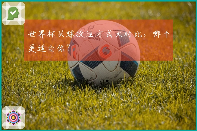 世界杯买球投注方式大对比，哪个更适合你？