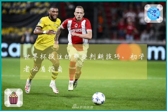 世界杯投注的那些判断技巧，初学者必看指南