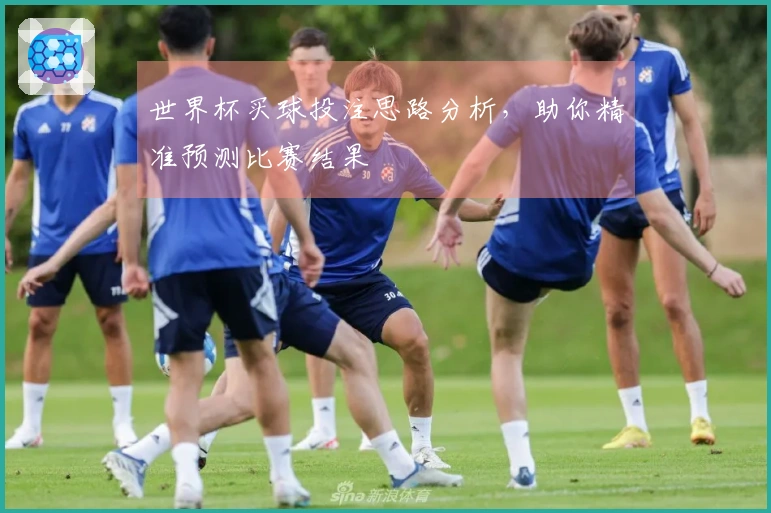 世界杯买球投注思路分析，助你精准预测比赛结果