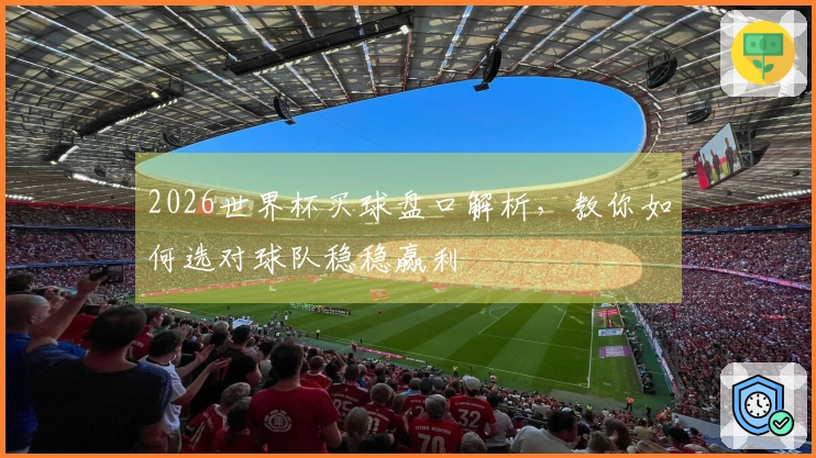 2026世界杯买球盘口解析，教你如何选对球队稳稳赢利